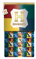  Harry Potter: Abstract Magic