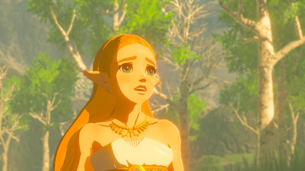 The Legend of Zelda: Breath of the Wild [Switch]