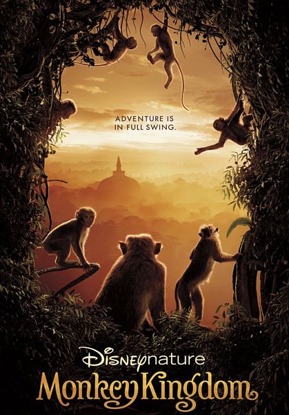 цена Королевство обезьян (DVD + Blu-ray)
