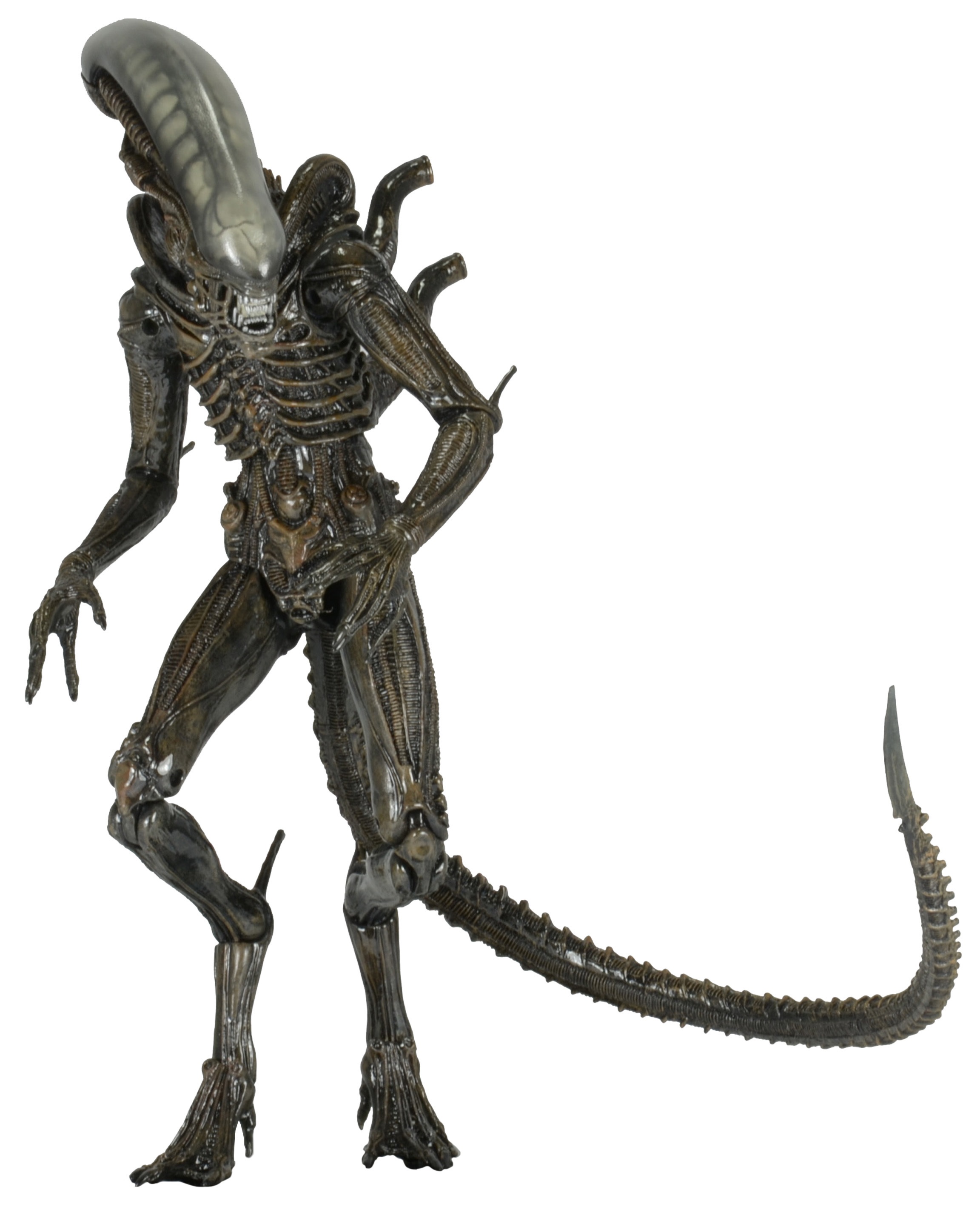 Фигуры чужого. Фигурка Alien - Xenomorph. Фигурка: Alien Xenomorph 22см NECA. Фигурка чужой Ксеноморф (Alien Xenomorph). Фигурка чужой - Alien Xenomorph (25см).