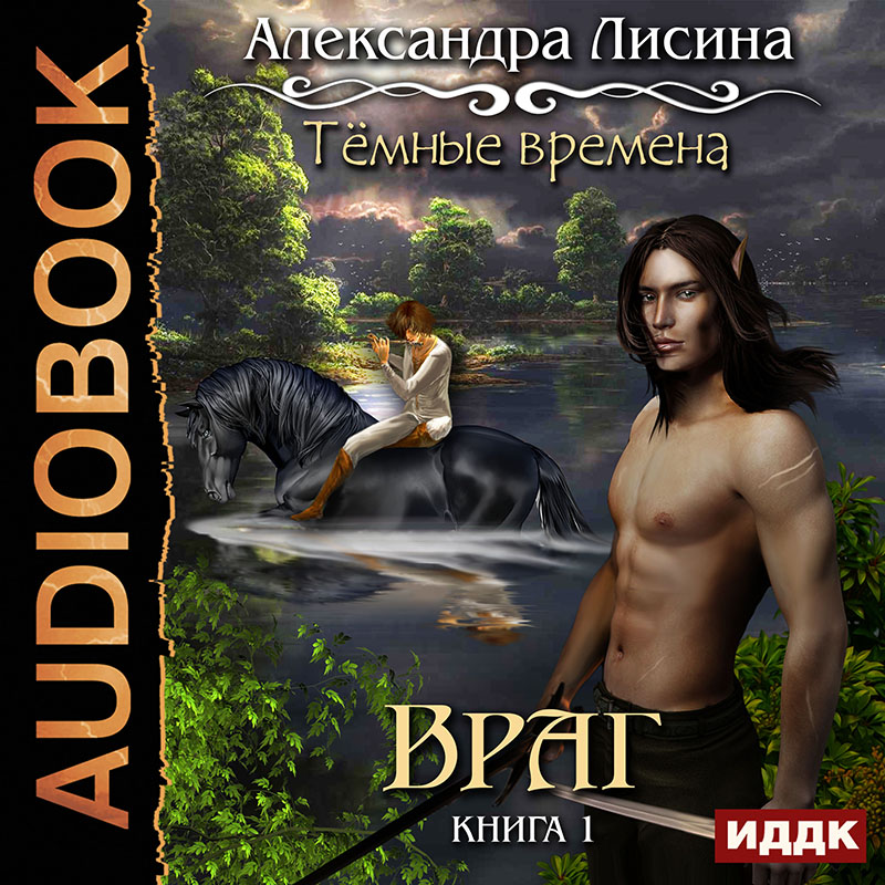 

Темные времена: Враг. Книга 1 (цифровая версия) (Цифровая версия)