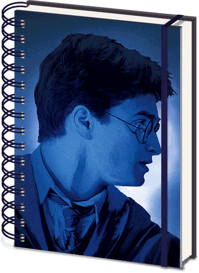 Ежедневник Harry Potter: Magic Portrait 3D