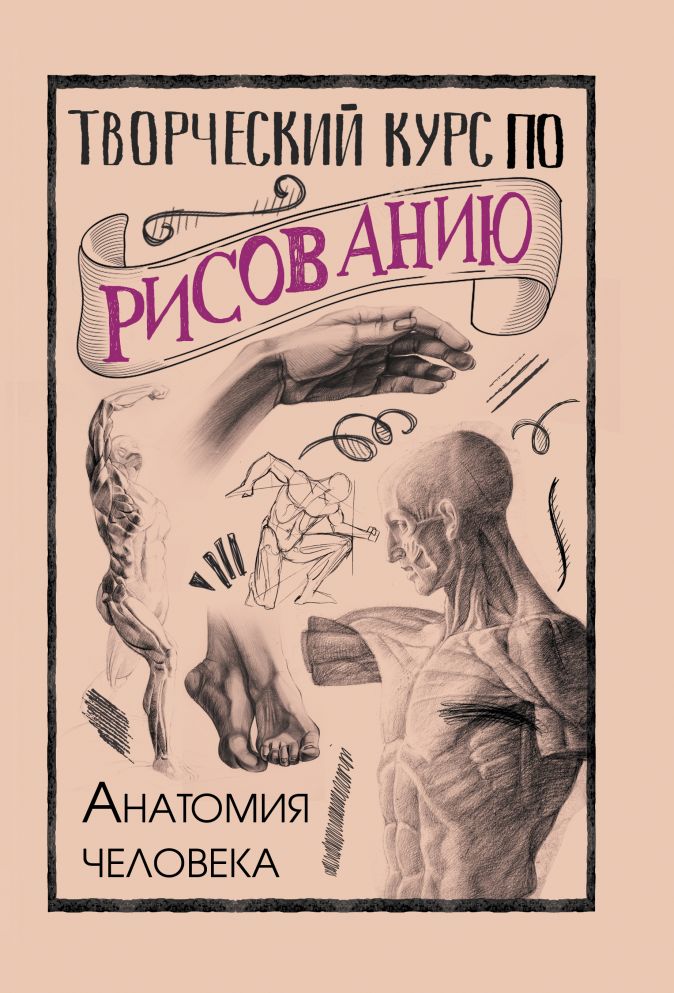 

Творческий курс по рисованию. Анатомия человека