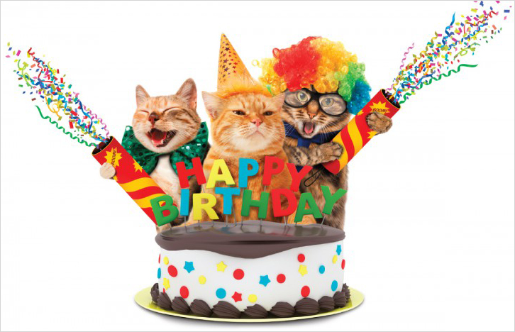 Открытка Happy Birthday: Коты №3
