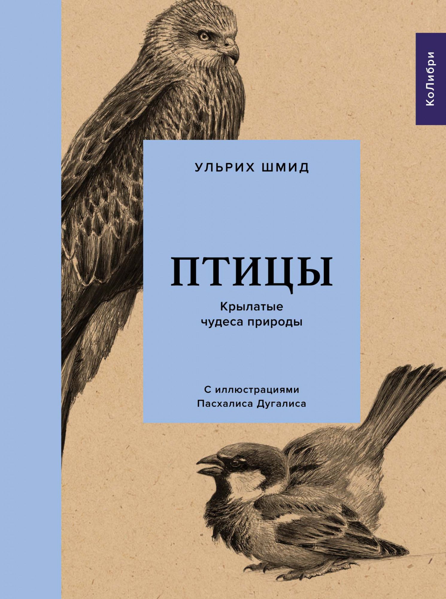 

Птицы: Крылатые чудеса природы