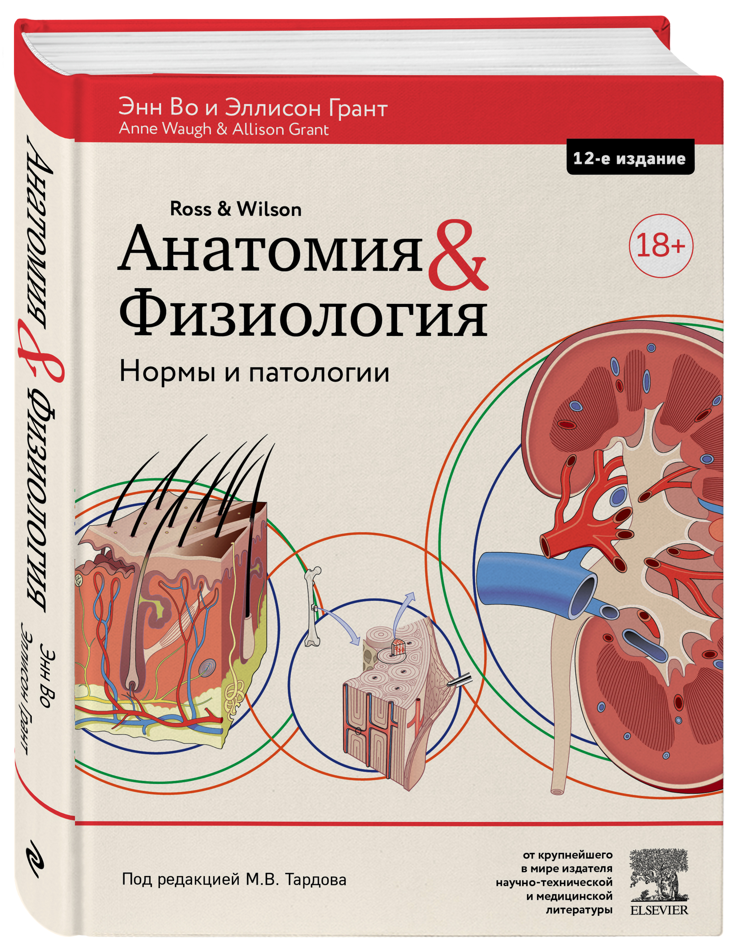 Нормальная физиология. Анатомия и физиология. Нормальная физиология человека. Анатомия и физиология. Нормы и патологии. Нормальная физиология методичка.