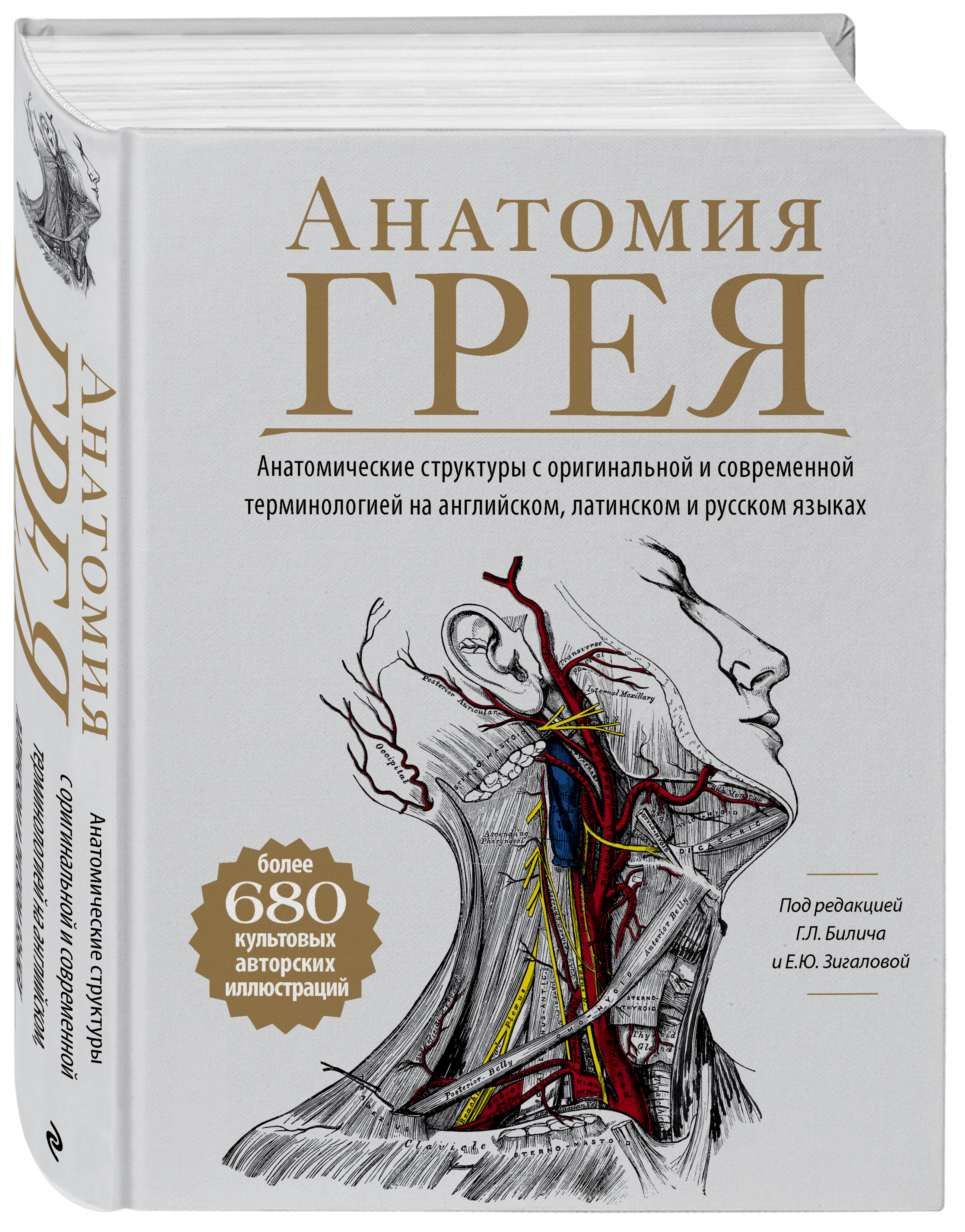 Книги по анатомии. Атлас анатомии Грея. Учебное пособие. Анатомия человека г. л. Билич е. ю. Зигалова книга. Анатомия книга. Анатомия Грея учебник.