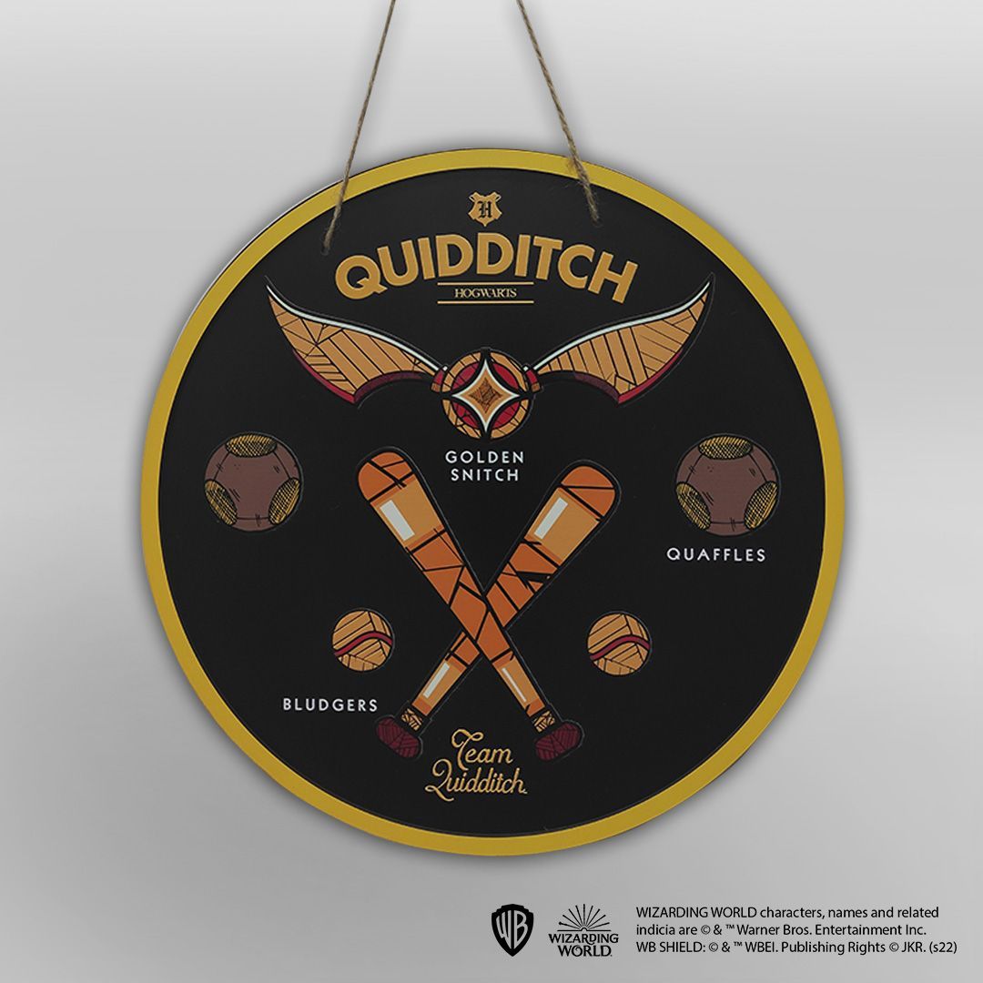 3D Постер Harry Potter: Quidditch Team