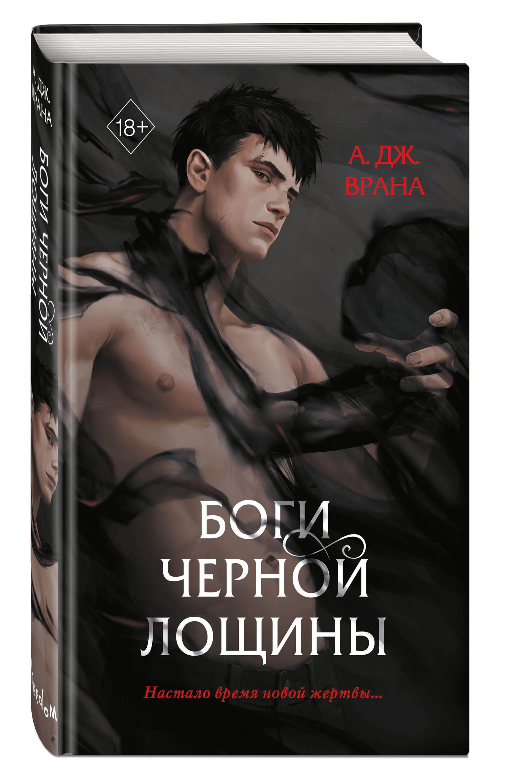 Набор Тайны Черной Лощины. Книга 1. Боги Черной Лощины. А. Дж. Врана +  Закладка Game Of Thrones Трон и Герб Старков магнитная 2-Pack - купить по  цене 910 руб с доставкой в