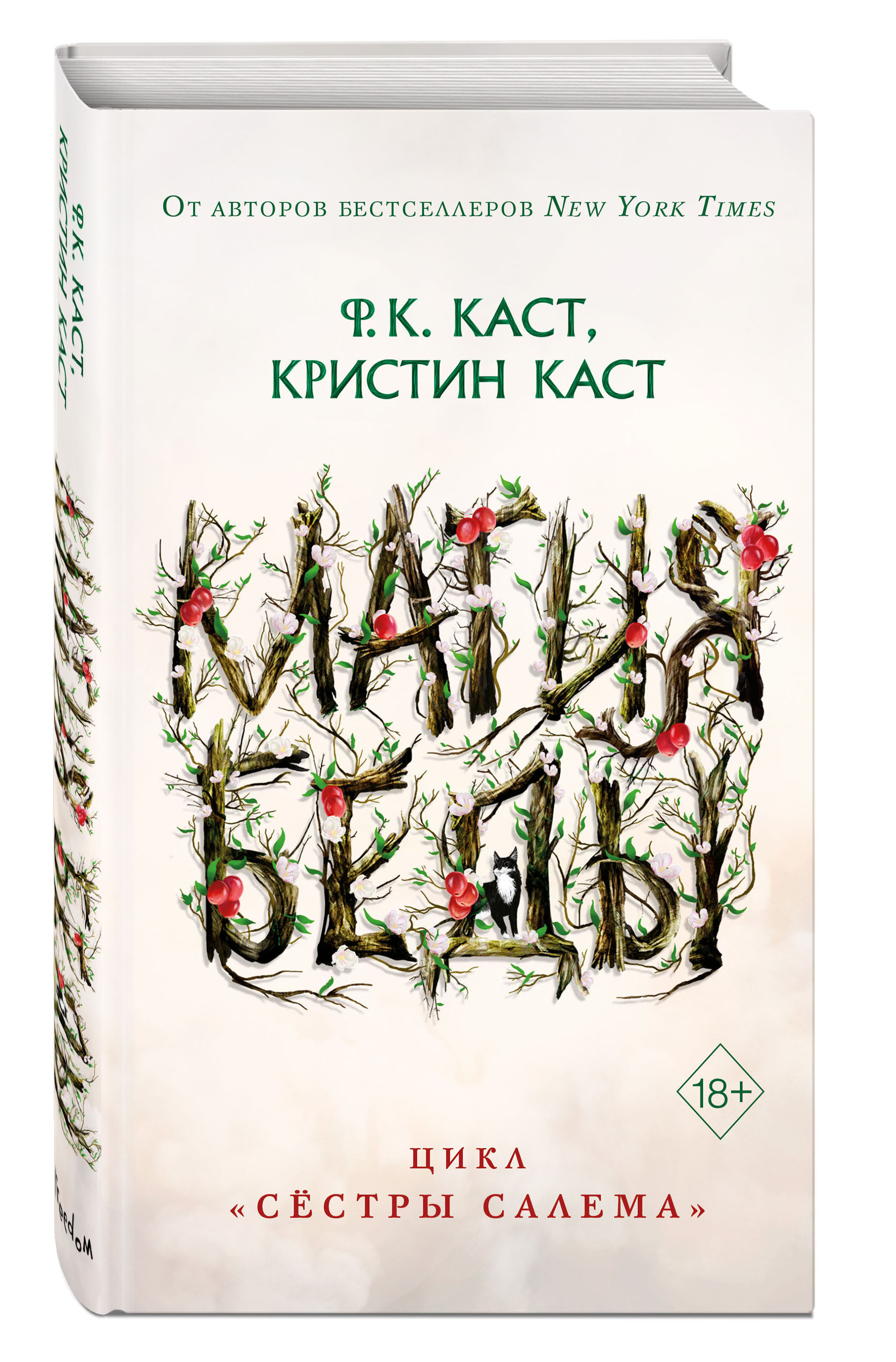 Набор Сёстры Салема. Книга 1. Магия беды. Ф.К. Каст, Кристин Каст +  Закладка Game Of Thrones Трон и Герб Старков магнитная 2-Pack - купить по  цене 910 руб с доставкой в интернет-магазине