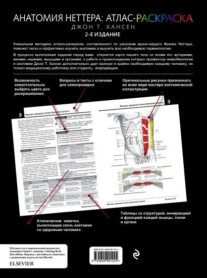 Атлас раскраска с рисунками неттера