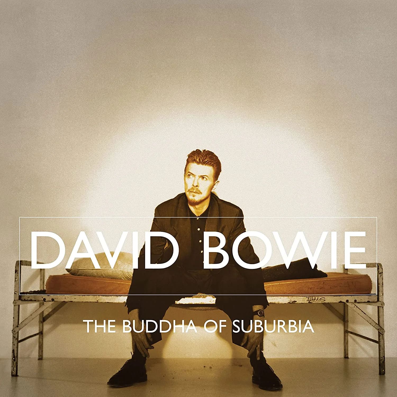 цена David Bowie – The Buddha Of Suburbia (2 LP)