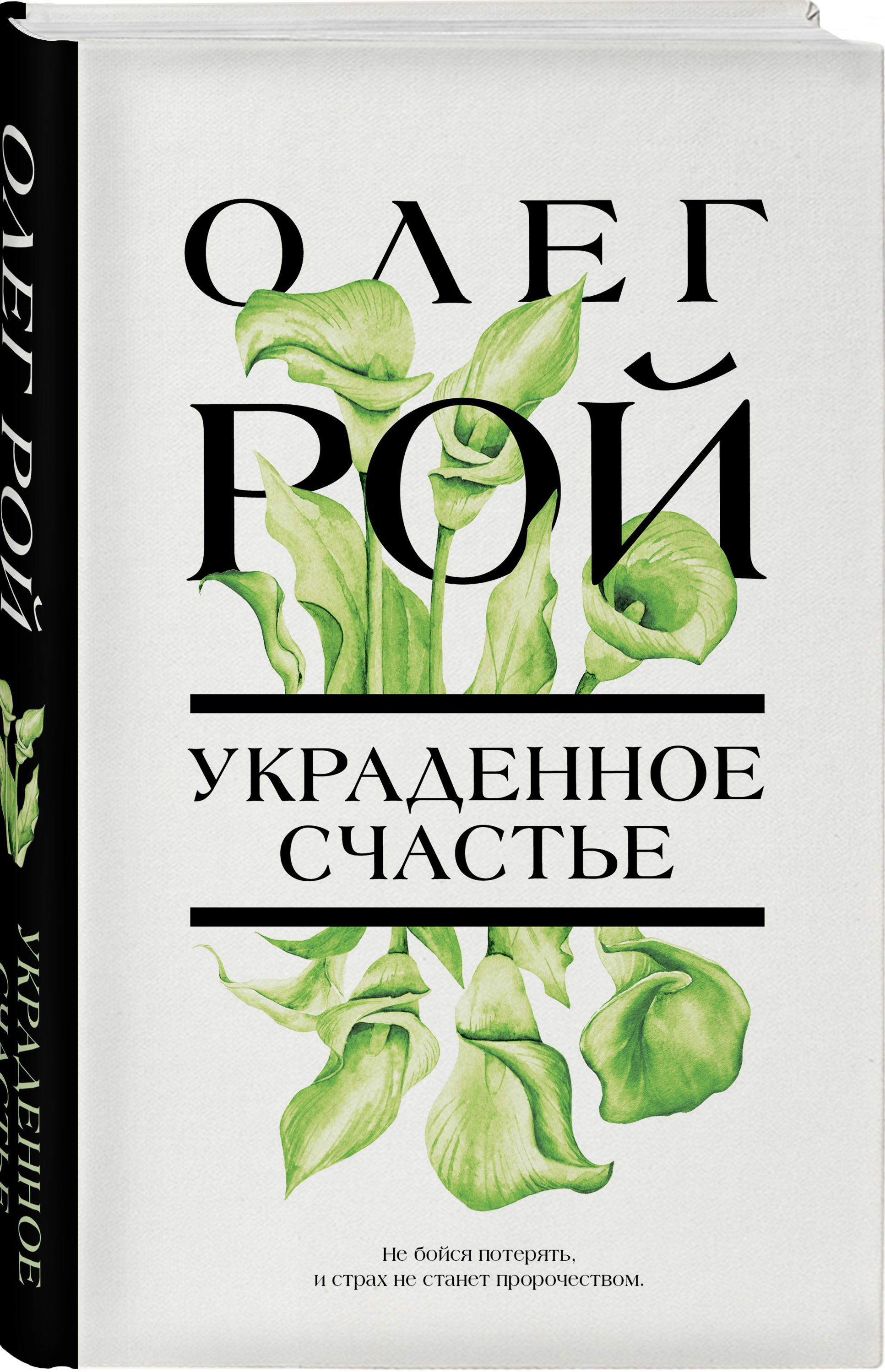 Украденное счастье. Книга Рой украденное счастье.