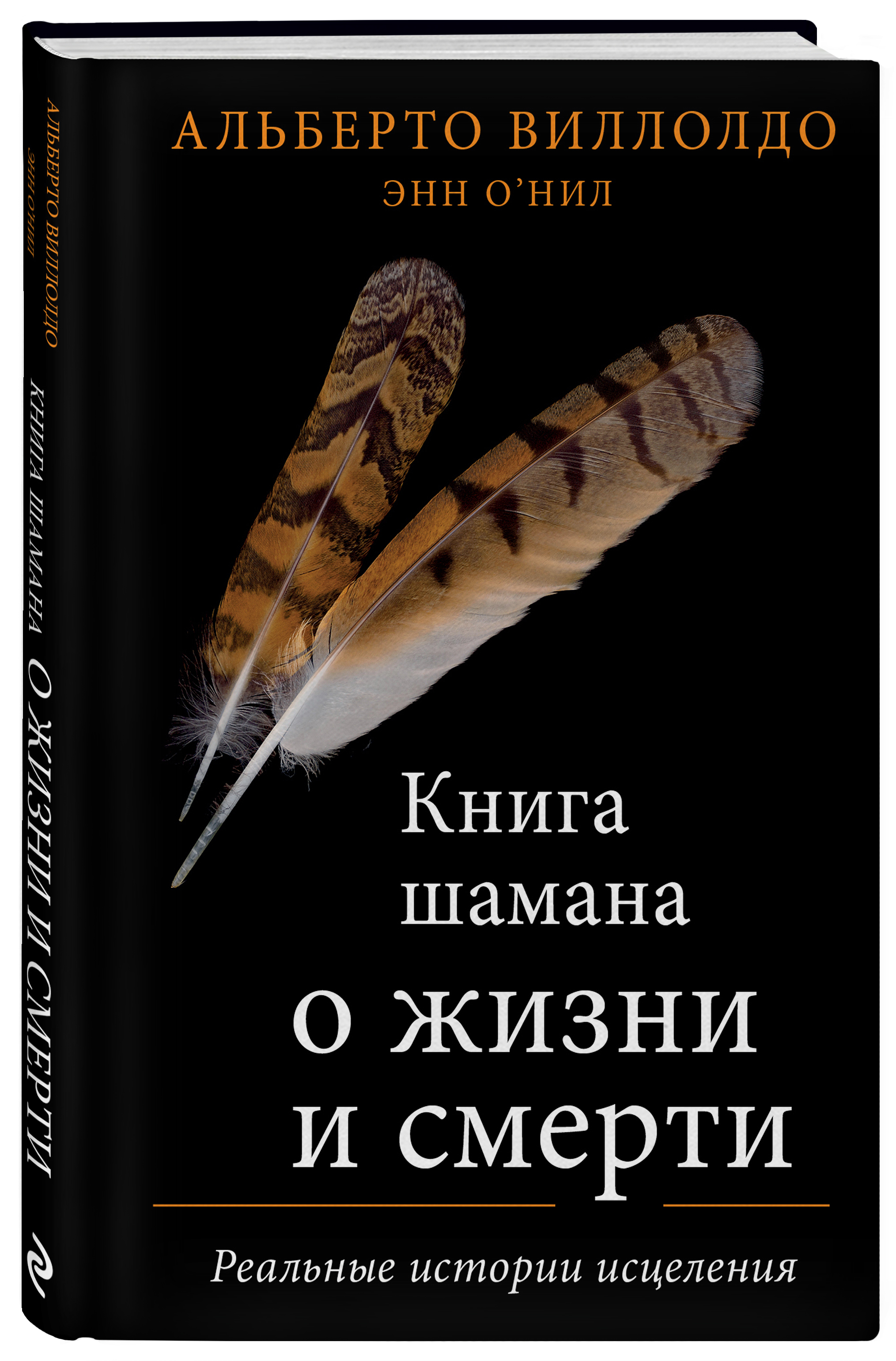 Книга шамана о жизни и смерти: Реальные истории исцеления