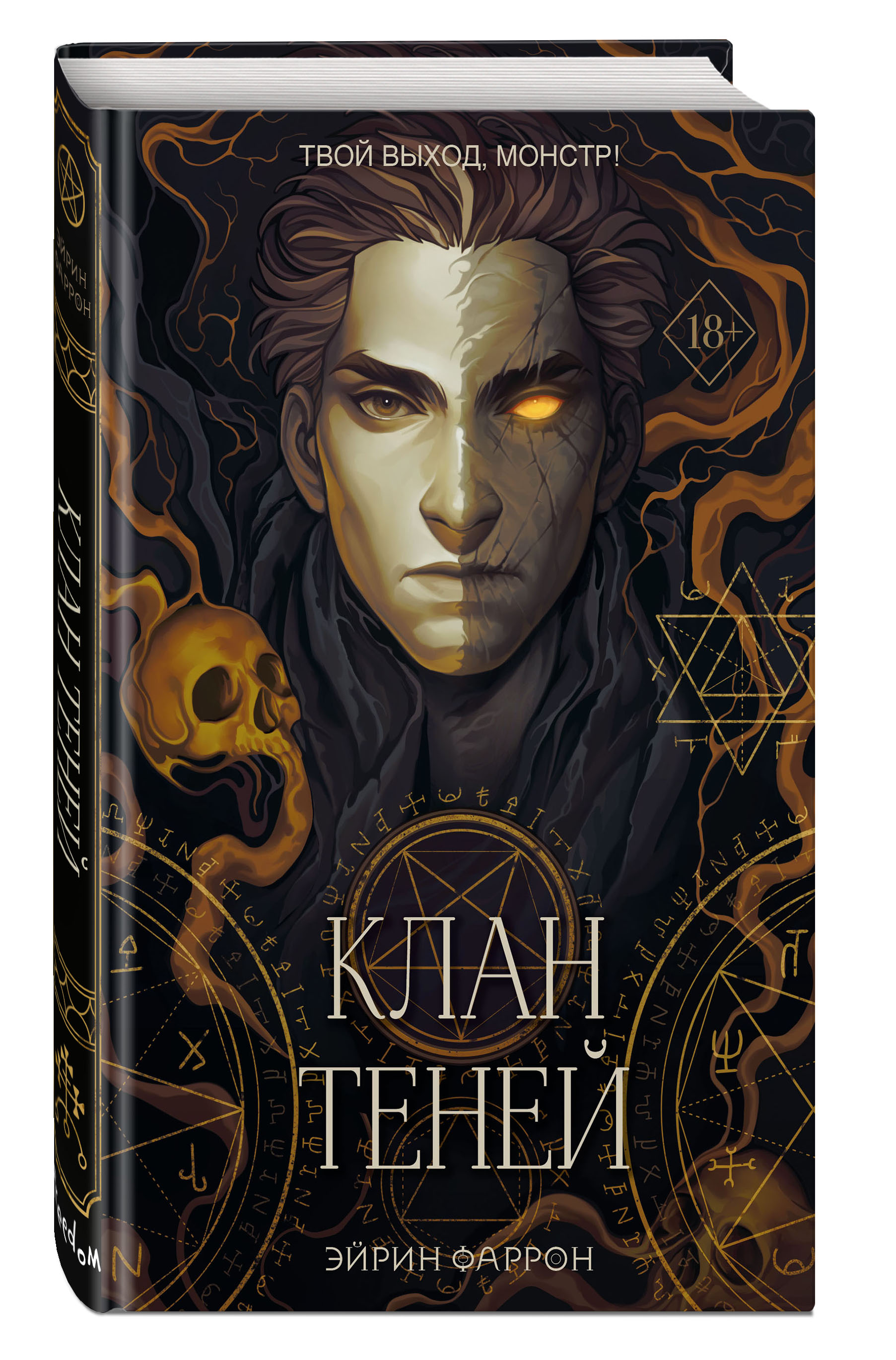 Набор Туманы Нуарвилля. Книга 1. Клан теней. Эйрин Фаррон + Закладка Game  Of Thrones Трон и Герб Старков магнитная 2-Pack - купить по цене 860 руб с  доставкой в интернет-магазине 1С Интерес