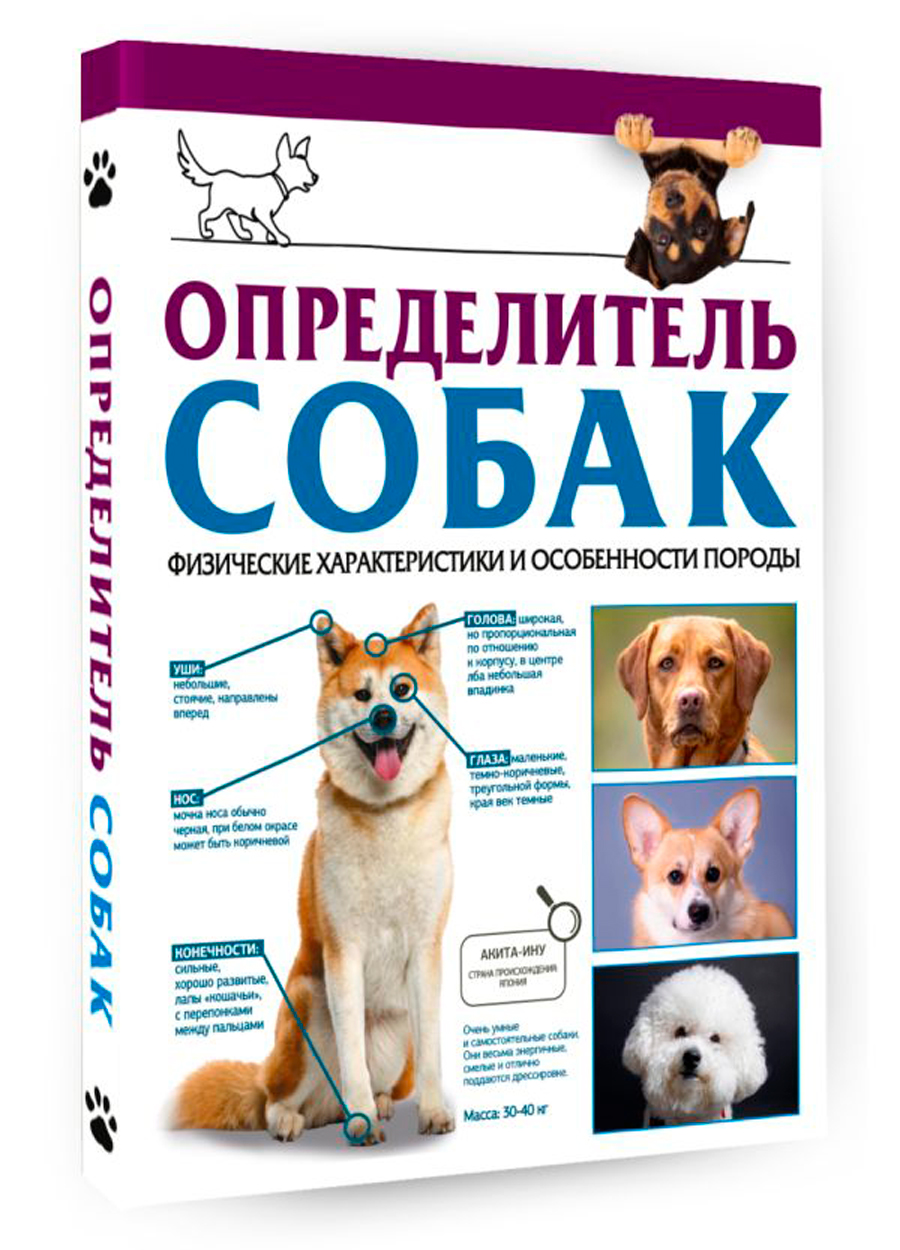 

Определитель собак: Физические характеристики и особеннности породы