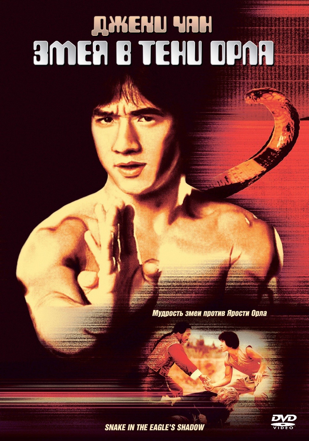 Змея в тени орла (DVD)