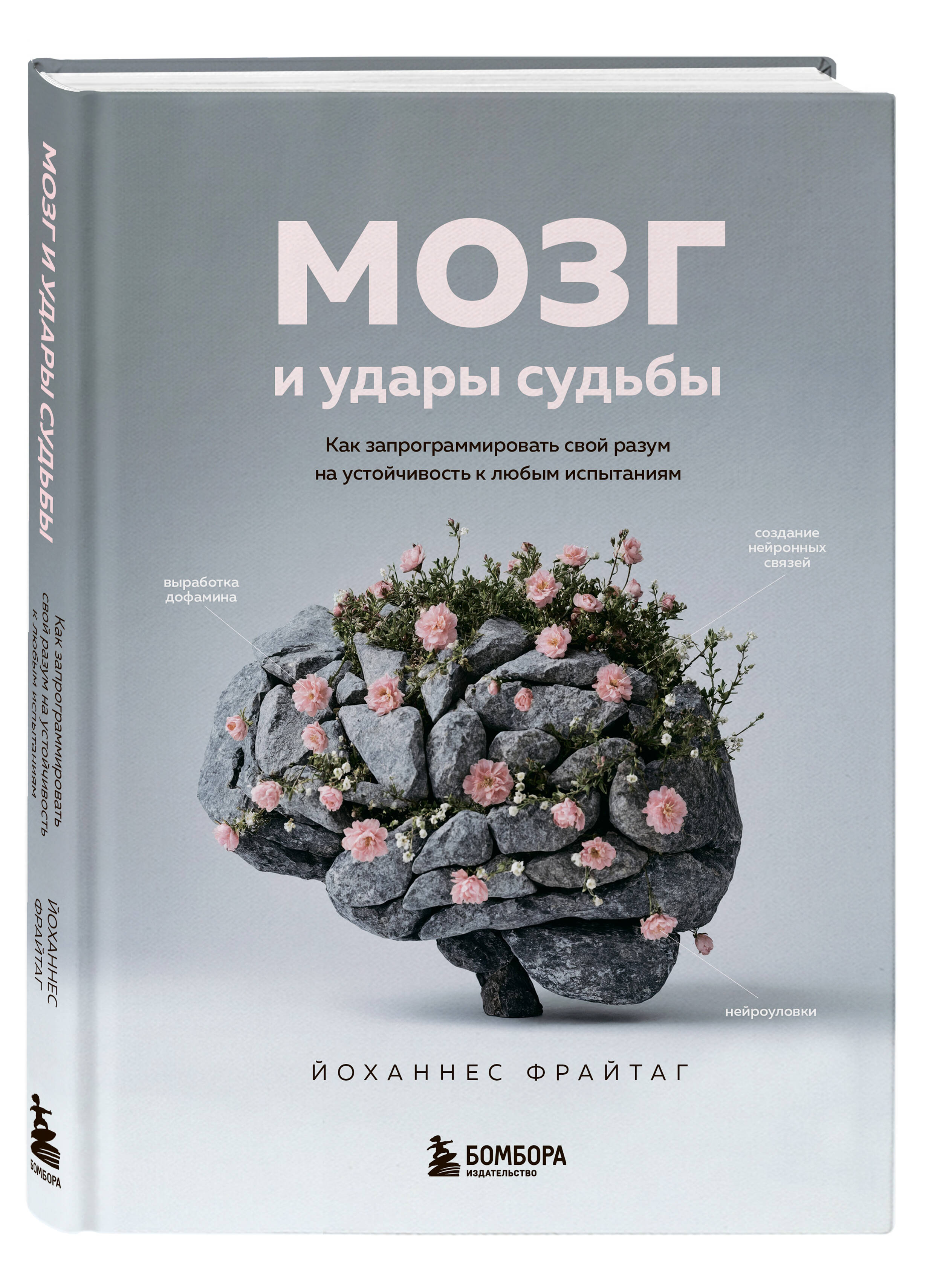 

Мозг и удары судьбы: Как запрограммировать свой разум на устойчивость к любым испытаниям