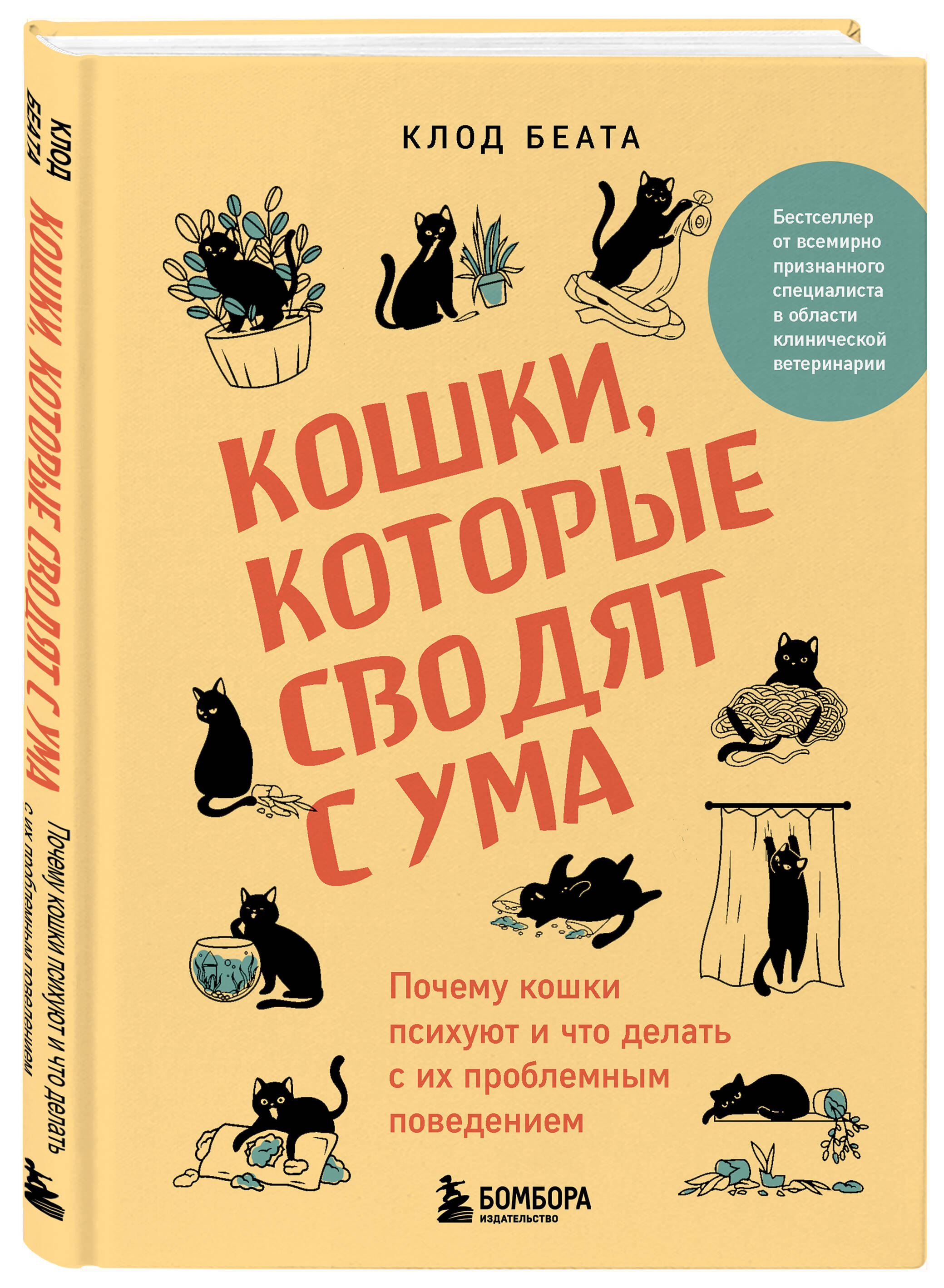 

Кошки, которые сводят с ума: Почему кошки психуют и что делать с их проблемным поведением