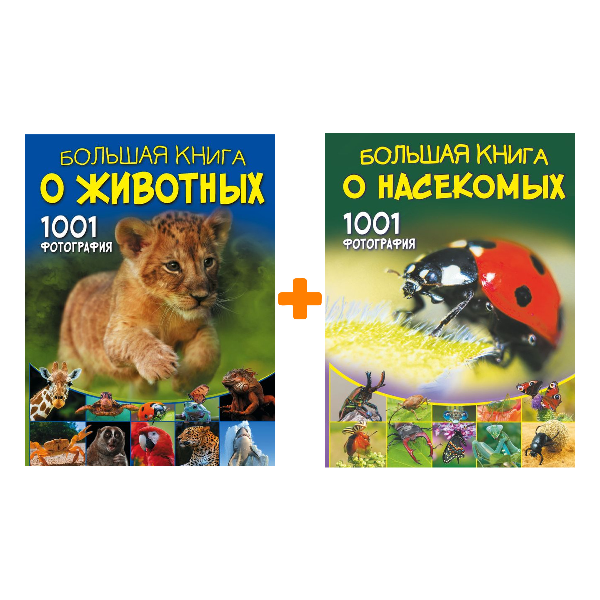 Комплект книг 1001 фотография: Большая книга о животных + Большая книга о насекомых