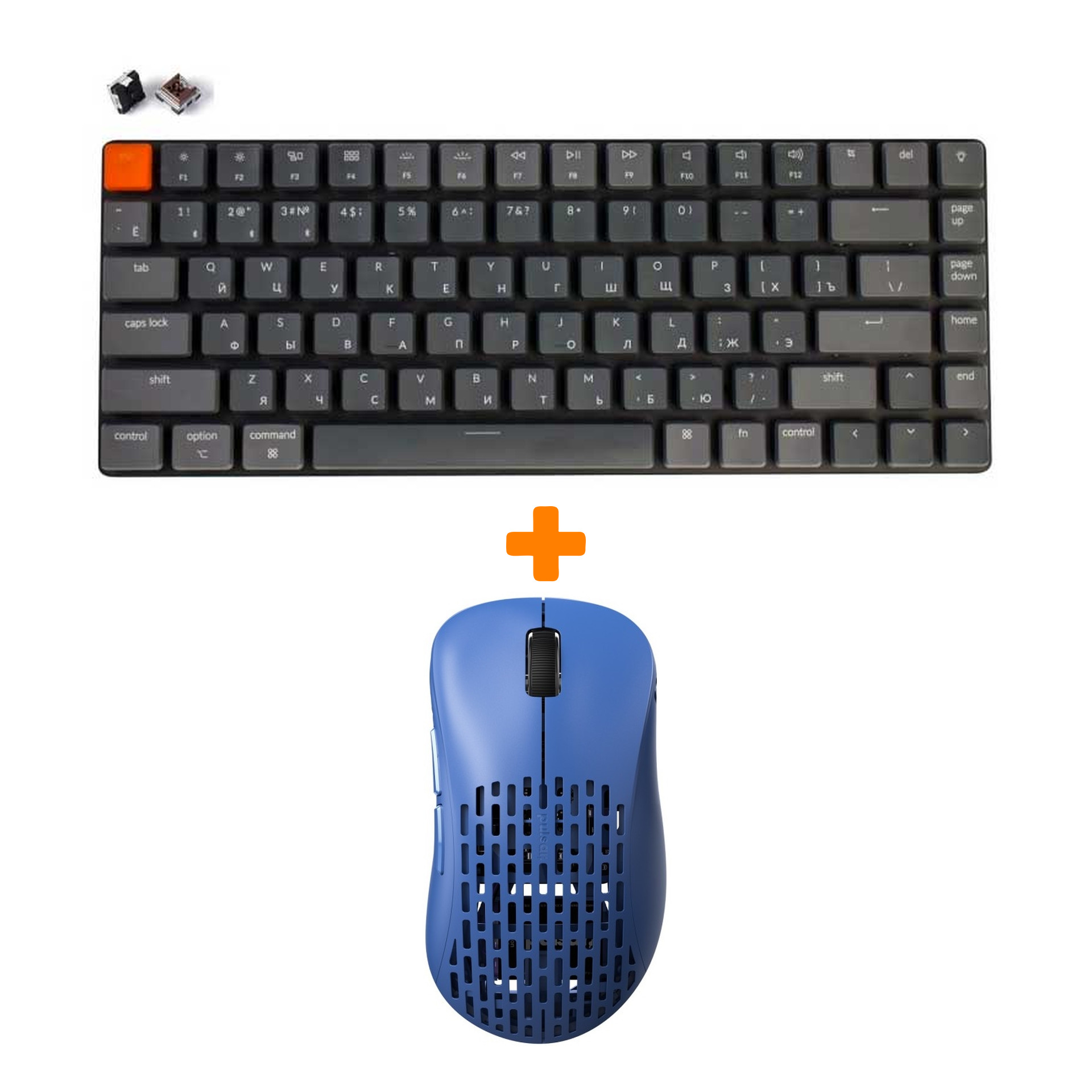 

Набор Мышь Pulsar Xlite Wireless V2 Competition Mini Blue + Клавиатура Keychron K3, RGB Brown Switch