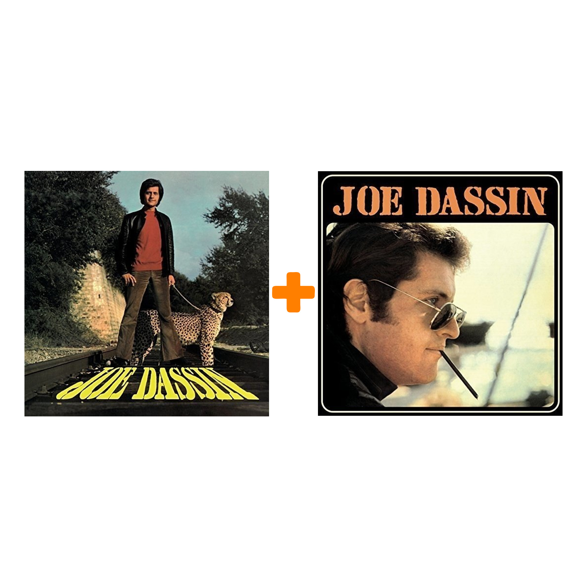 

Набор для меломанов «Поп»: Joe Dassin – Les Champs-Elysees (LP) + Joe Dassin – La Fleur Aux Dents (LP)