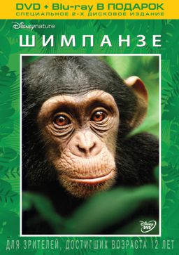цена Шимпанзе (DVD + Blu-ray)