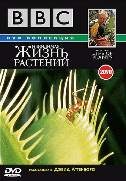 BBC: Невидимая жизнь растений (2 DVD) фото