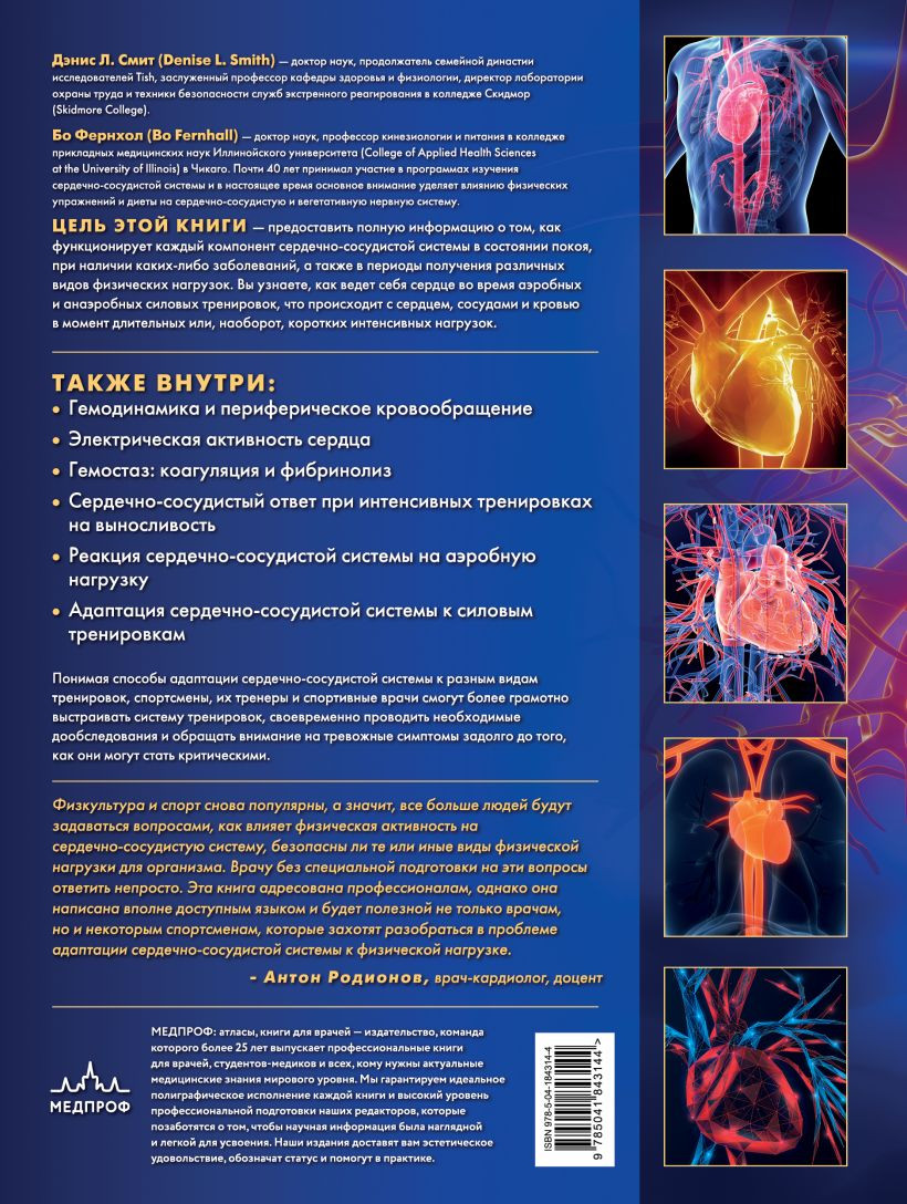 Сердечно-сосудистая система: Анатомия и физиология в покое и при физических  нагрузках - купить по цене 2112 руб с доставкой в интернет-магазине 1С  Интерес