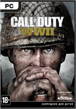 Call of Duty: WWII ( ) [PC]