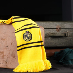  Harry Potter: Hufflepuff