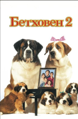  2 (DVD)