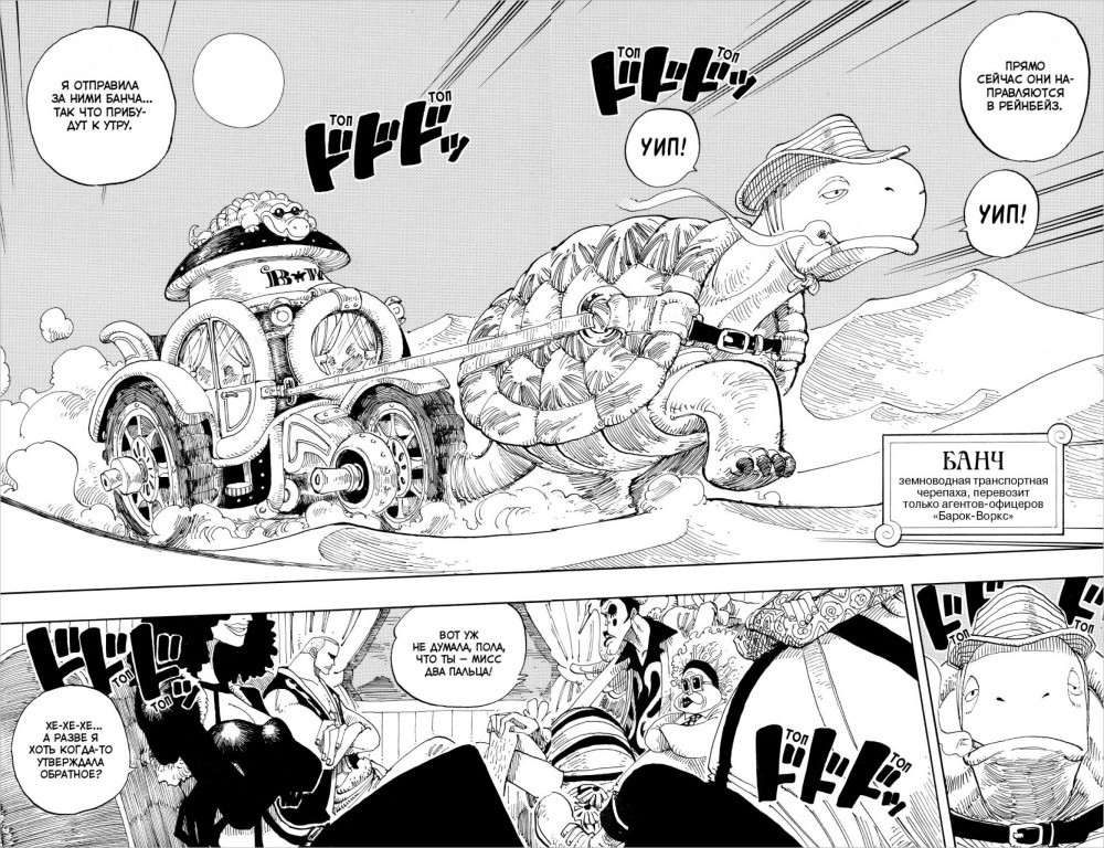  One Piece:     .  6