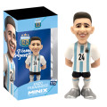  Minix :    Argentina National Football Team (12 )