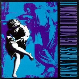 Guns N' Roses  Use Your Illusion II (2 LP)