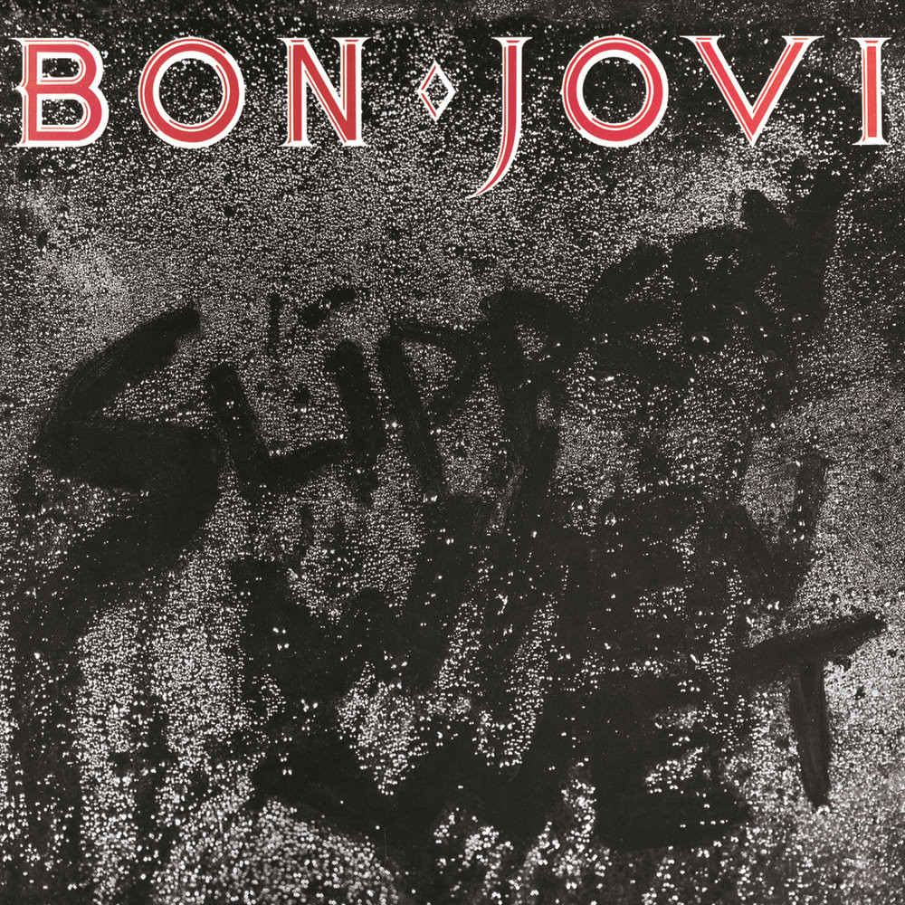 BON JOVI Slippery When Wet LP + Пакеты внешние №5 мягкие 10 шт Набор -  купить по цене 6840 руб в интернет-магазине 1С Интерес