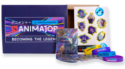   Animajor Dota 2 (4-Pack) ( )