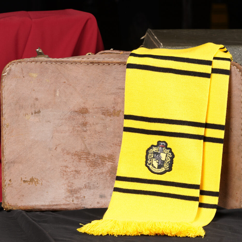  Harry Potter: Hufflepuff