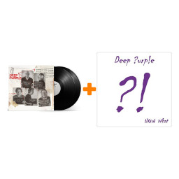    : Deep Purple  Turning To rime (2 LP)  + Deep Purple: Now What?!