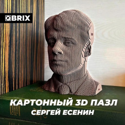 3D    Qbrix    (42 )