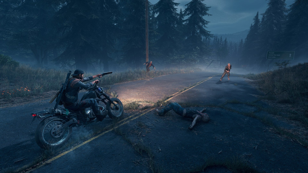   (Days Gone) [PC,  ]