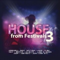 House from Festivals. Vol. 3 (3 CD)